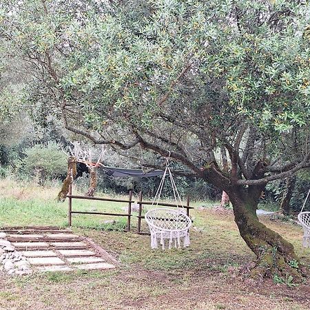Moradia Rural De Charme Agradavel E Acolhedora Βίλα Arrimal Εξωτερικό φωτογραφία
