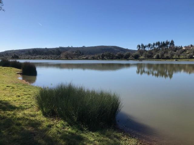 Moradia Rural De Charme Agradavel E Acolhedora Βίλα Arrimal Εξωτερικό φωτογραφία