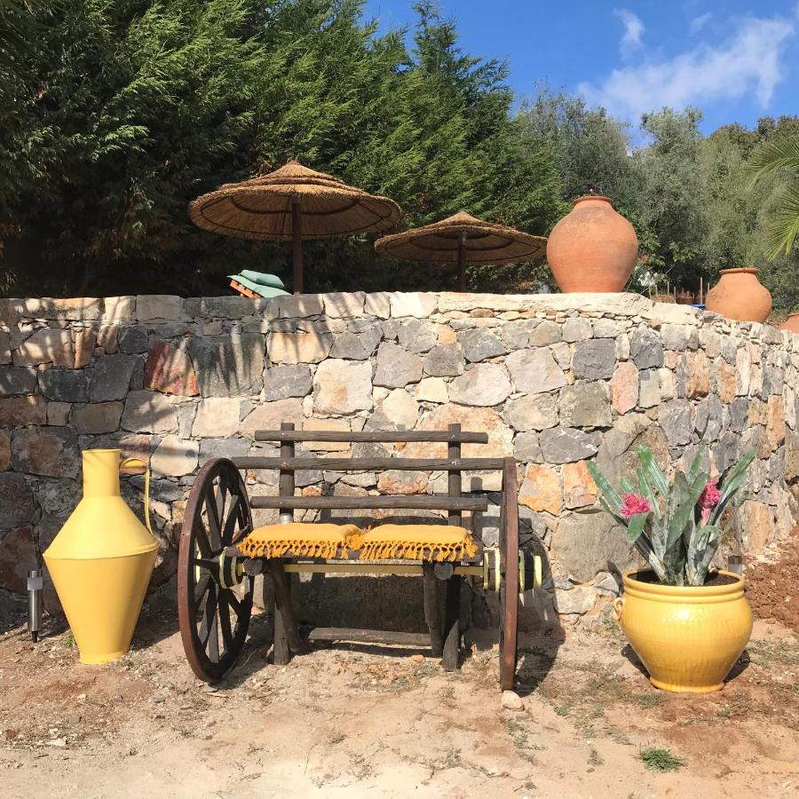 Moradia Rural De Charme Agradavel E Acolhedora Βίλα Arrimal Εξωτερικό φωτογραφία