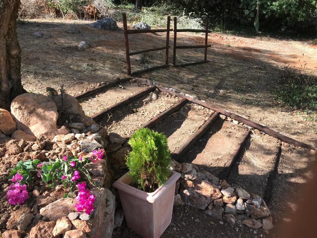 Moradia Rural De Charme Agradavel E Acolhedora Βίλα Arrimal Εξωτερικό φωτογραφία