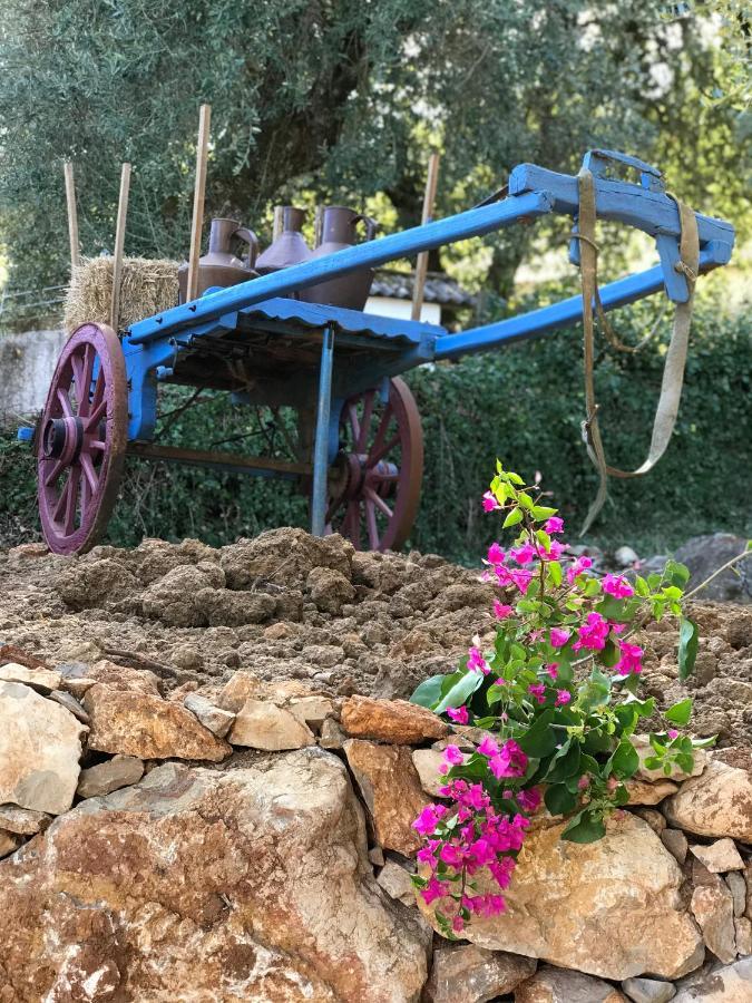 Moradia Rural De Charme Agradavel E Acolhedora Βίλα Arrimal Εξωτερικό φωτογραφία