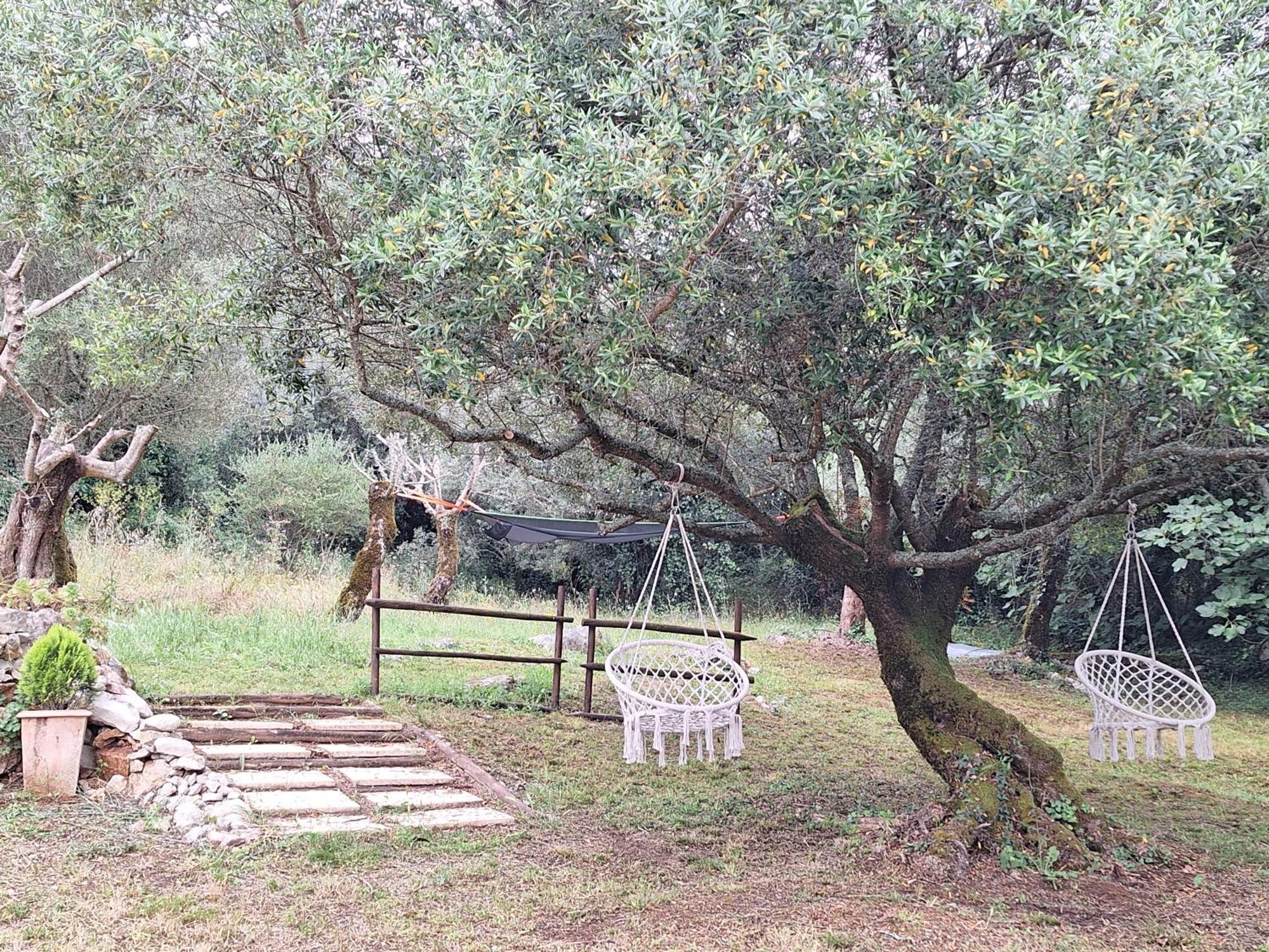 Moradia Rural De Charme Agradavel E Acolhedora Βίλα Arrimal Εξωτερικό φωτογραφία